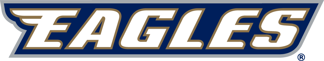 Georgia Southern Eagles 2004-Pres Wordmark Logo v6 iron on transfers for fabric